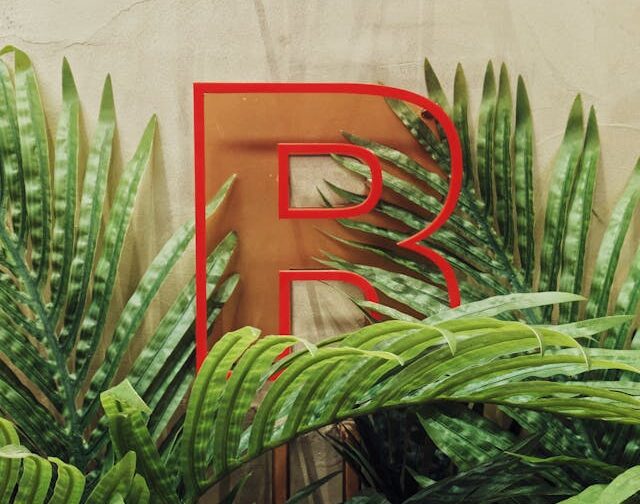 Names that start with B